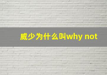 威少为什么叫why not